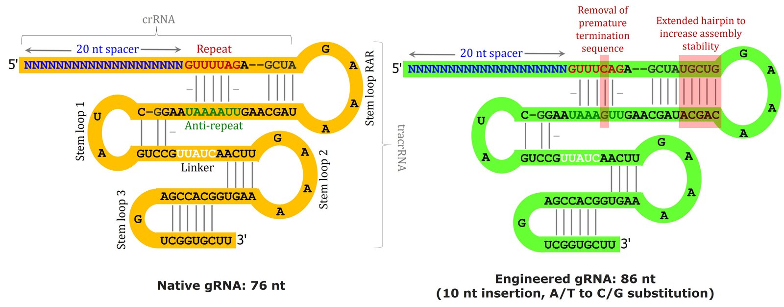 Secondary structure comparison